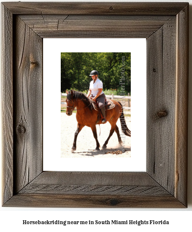 horseback riding near me in South Miami Heights, Florida